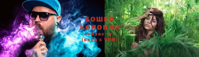 Каннабис White Widow  МЕГА ссылки  Саки 